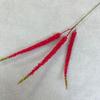 Artificial Angustata Typha Bory Et Chaub Horn Flower Decor For Home And Events