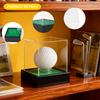 Golf Ball Display Case Memorabilia Stand Protective Transparent Storage Box