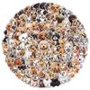 100 Cute Puppy Doodle Stickers for Kids - Decorate DIY Books, Bottles, Computers & Skateboards