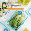 CHAHUA Antibacterial Microwavable Food Storage Container
