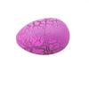 6 Pcs Kids Toys Magic Inflatable Hatching Dinosaur Add Water Growing Dino Eggs