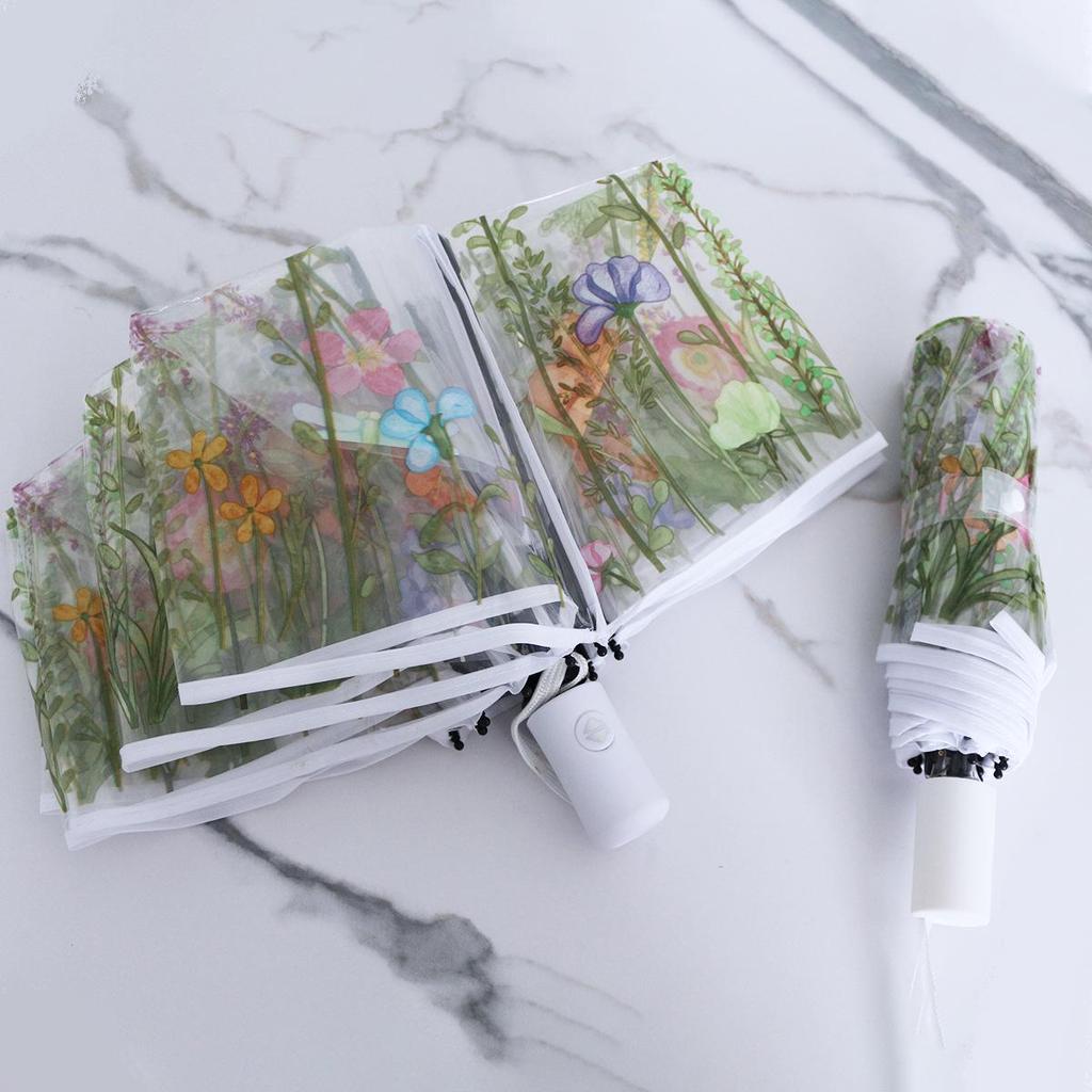 Dual-Use Automatic Transparent POE Umbrella - Xiaohongshu Style with Cats and Dogs Design