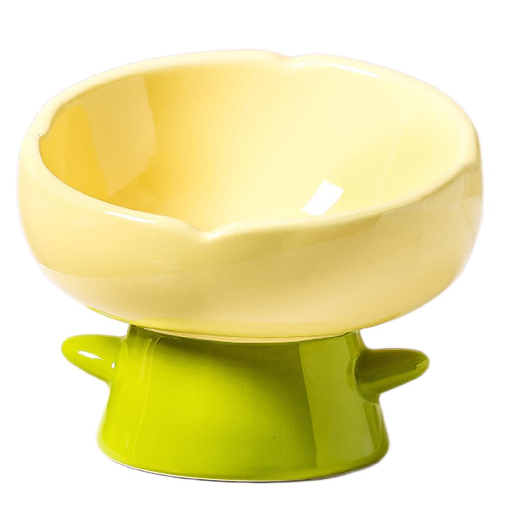 Non Slip High Cat Bowl For Senior Cats Neck Pain Elevated For Neck Health Digestion For Home
