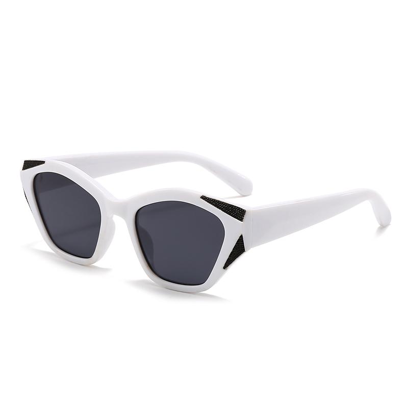 Cross-Border Specially Designed for Angular Cat-Eye Sunglasses Modern Retro Temples Sunglasses Lh179