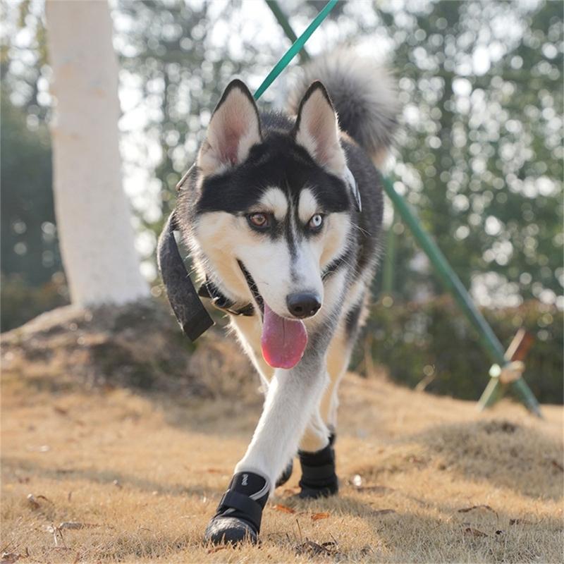 Pachet de 4 Pantofi pentru Cățeluși Durabili pentru Plimbări în Aer Liber, Pantofi pentru Câini de Companie pentru Zăpadă, pentru Plimbări în Siguranță, Talpă Moale