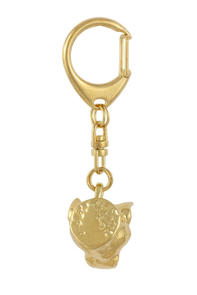 American Staffordshire Terrier, Amstaff – Keychain and necklace with a dog in a box, high-quality gold-plated product | Art-Dog