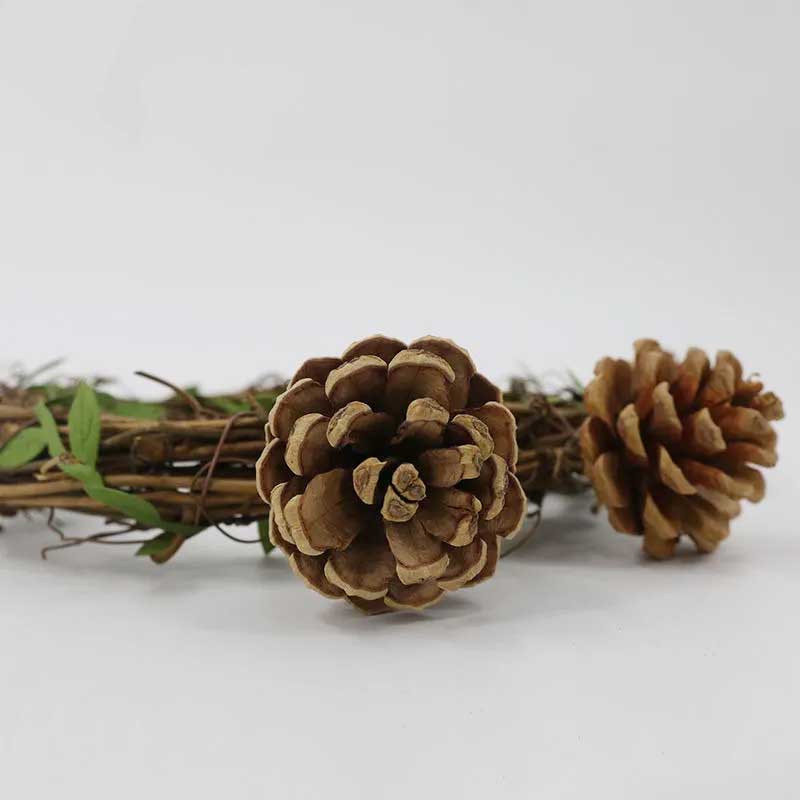 Pine Cone Green Rattan Circle Swing Bird Toy Parrot Toy Puzzle Biting Ring Birdcage Accessories