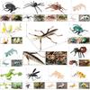 Realistisches Insektenmodell-Set Für Kinder Pädagogisches Und Sammlerstück Spielzeugsammlung