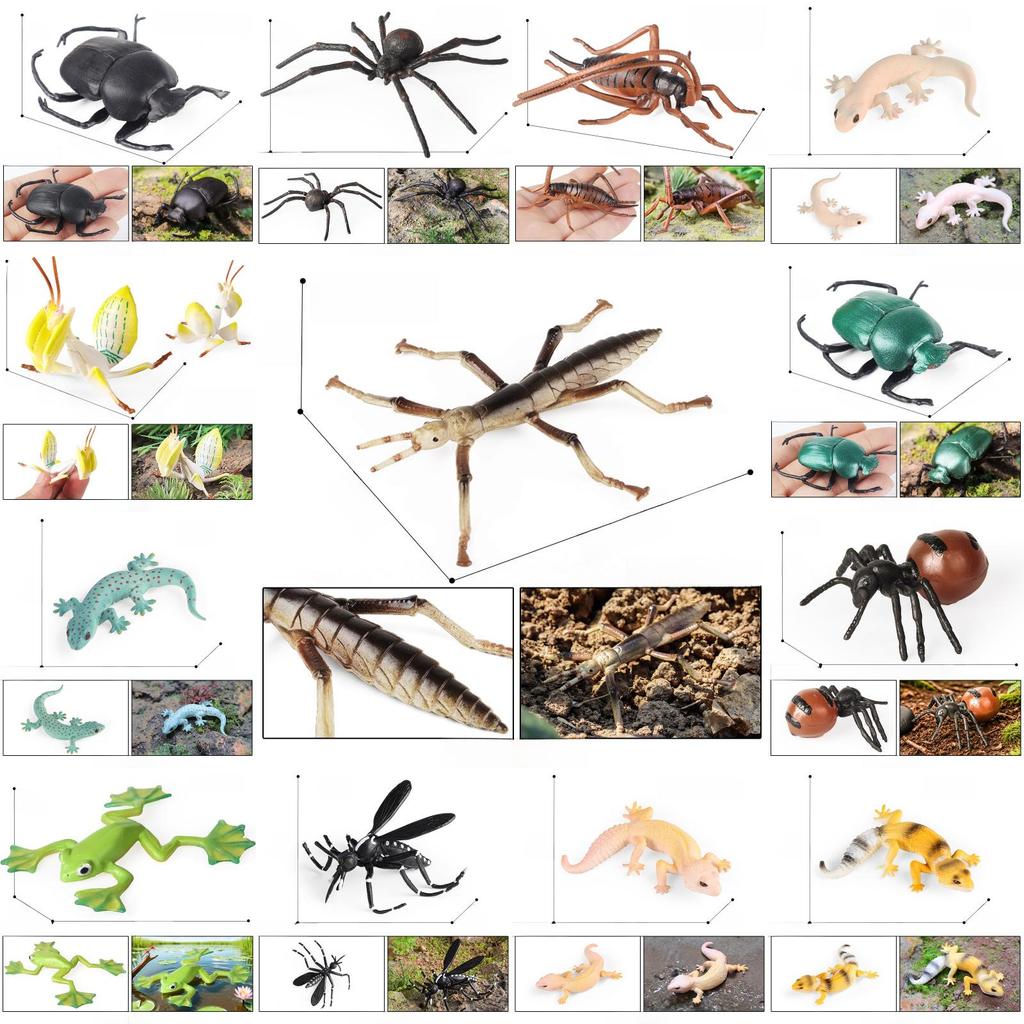 Realistisches Insektenmodell-Set Für Kinder Pädagogisches Und Sammlerstück Spielzeugsammlung