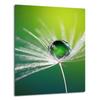 GLASS PLATE BOARD PANEL TABLETOP 40x52 FLOWER