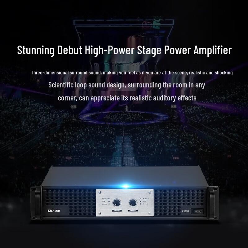 SainSonic Professional 15-inch PA Speaker System with Amplifier & Wireless Mics