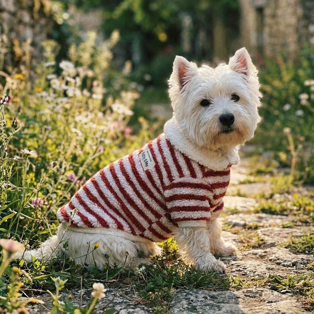 Polar Fleece Two Legs Dog Clothes Thick Warm Puppy Coat Elastic Pet Overalls  Daily Use