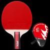 Double Fish 2-Star Beginner Table Tennis Racket