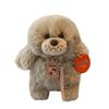 Cute Plush Poodle Dog Doll For Girls Birthday Gift Stuffed Toy Teddy Puppy