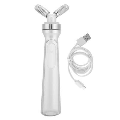 EMS Face Roller Massager Wrinkle Removal Face Tightening Lifting Machine