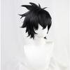 Anime The Rising of the Shield Hero Naofumi Iwatani Kort Svart Värmebeständigt Hår Cosplay Kostym Peruk