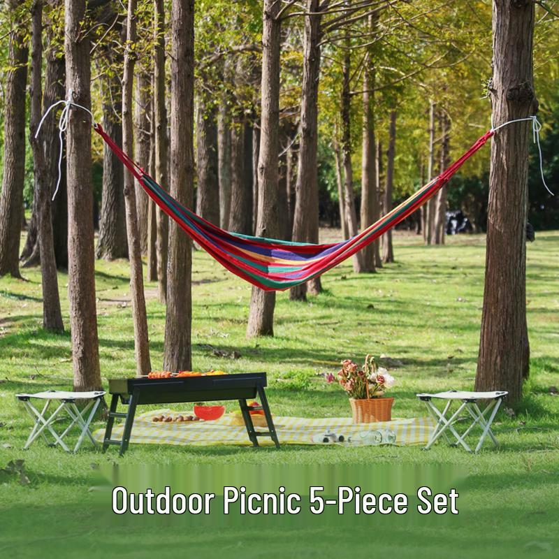 Huilingyang Outdoor 5-in-1 Picnic & BBQ Set