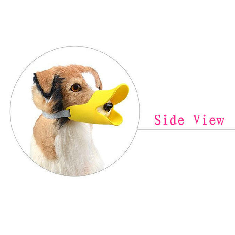quack muzzle