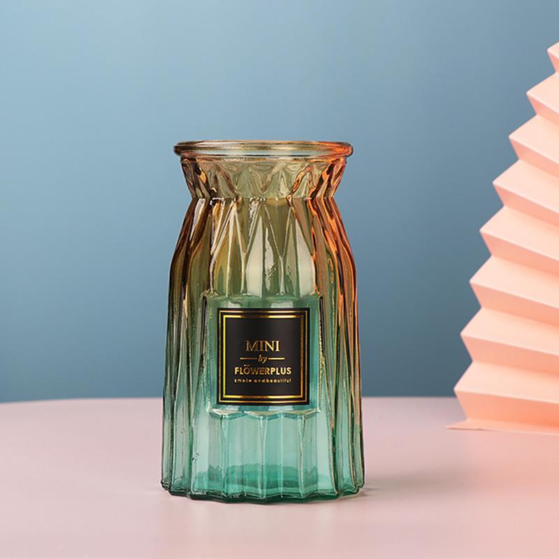 European Glass Vase for Fresh or Dried Flowers - Simple, Creative Home Decor Ornament