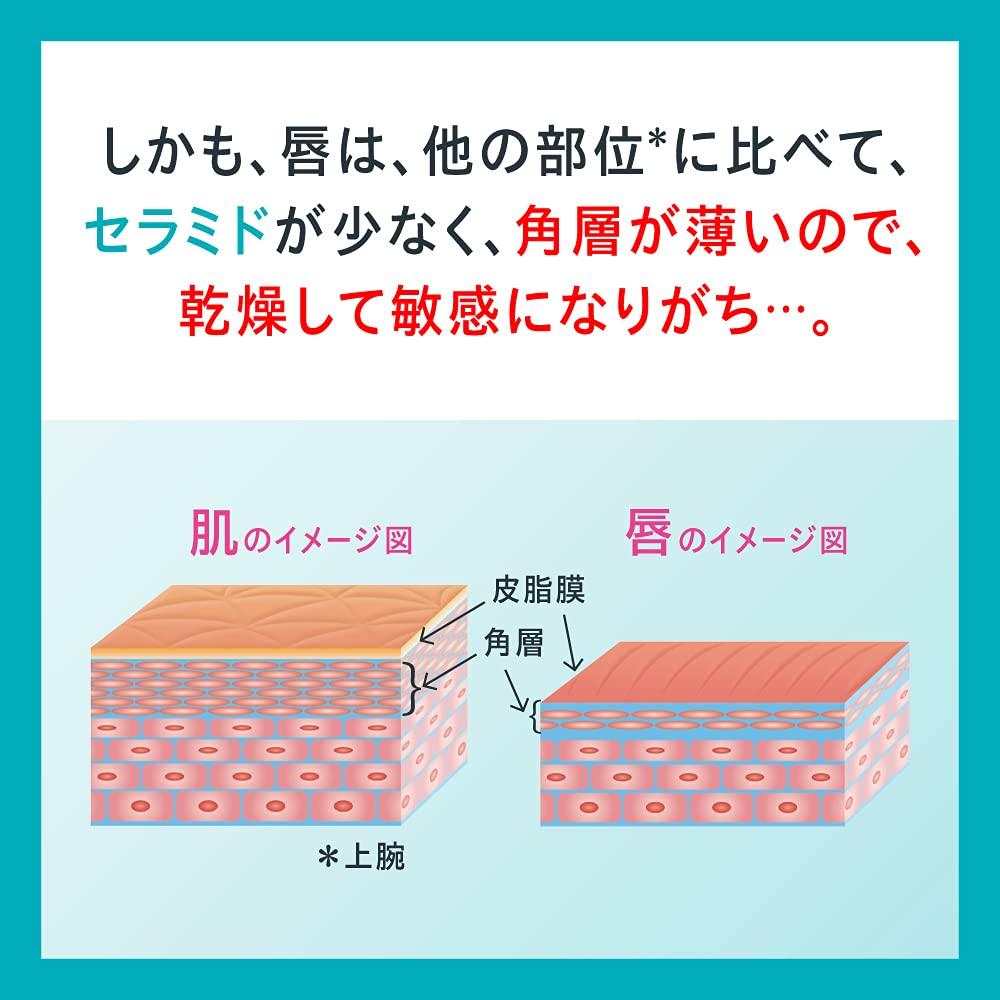 Curel Lip Care Balm, Fragrance-Free, 4.2g (x 1)