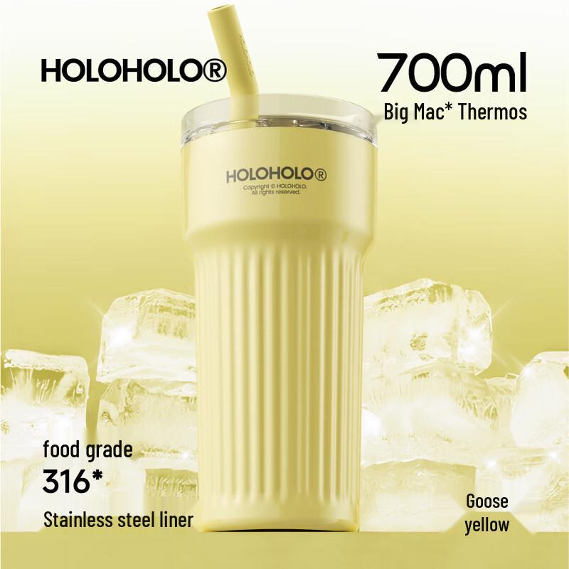 HOLOHOLO Small Roman Insulated Straw Tumbler