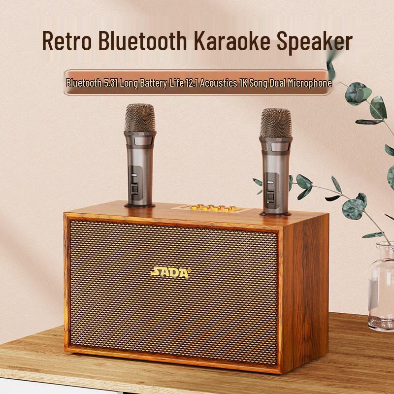 Saida Desktop KTV Computer Speakers