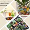 Natural Colorful Pebbles River Stones for Aquarium Decor Glass Terrarium Garden Potted Plants Landscaping