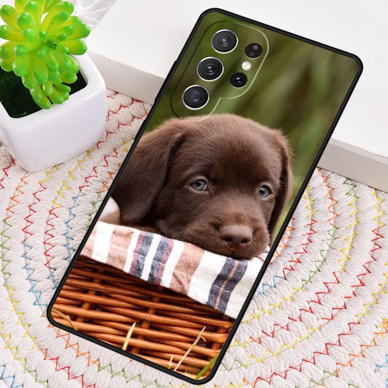 Cute Labrador Puppy Dog Phone Case for Samsung Galaxy note 10 pro S26 Ultra S23 S24 FE S25 S21 S22 PLUS shockproof Cove