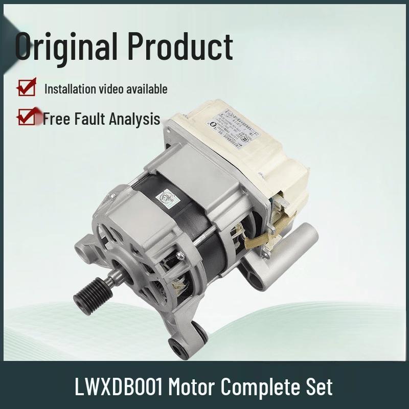 Drum Washing Machine Inverter Motor