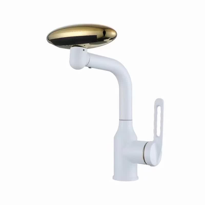 TLXT Wall-Mounted Rotatable Basin Faucet