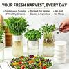 2/4pcs Plastic Jar Sprouting Lids Drain Hole Deep Tray  Microgreens Sprouting Kit