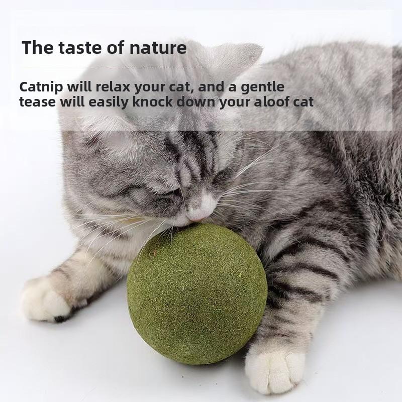 Catnip Balls, Huge Cat Toys, Self-entertaining and Boring Gadgets, Teething Cat Grass Balls, Cat Teaser Sticks, Cat Supplies, Cat Teaser Sticks