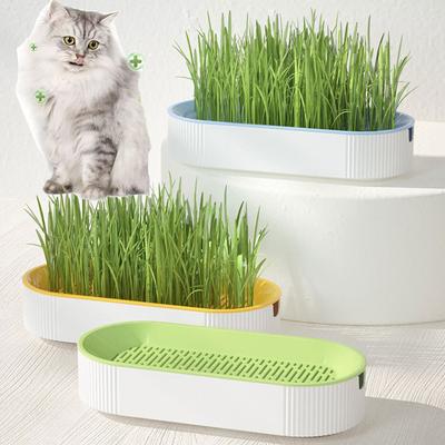 Hydroponic Cat Grass Pot Kitten Treats  Natural Catnip Bowl Soilless Planting Cat Grass Box Indoor Easy Growth Cat Accessories