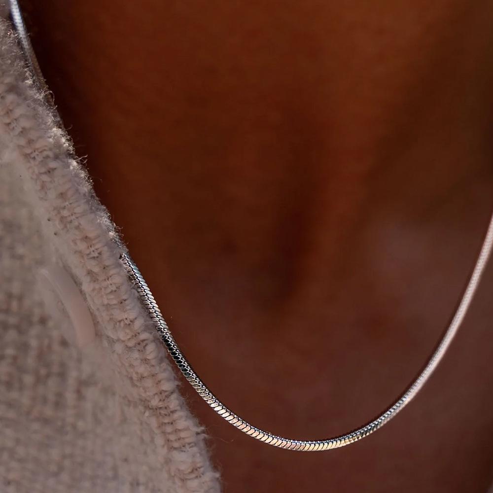 Saint Delan Snake Bone Square Chain Necklace - Men's Korean Style, Trendy and Simple with a Cold, High-Sense Personality