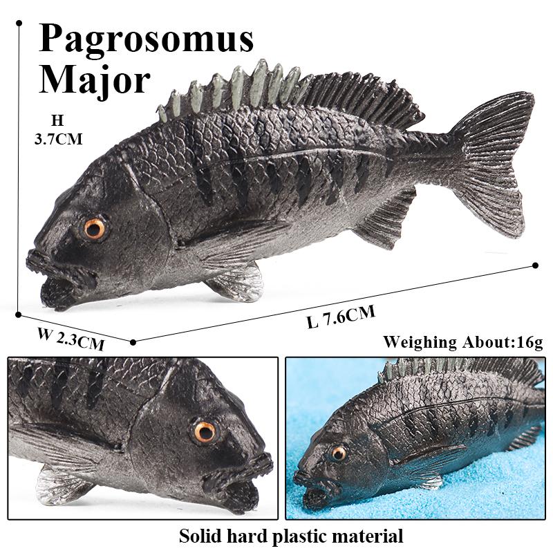 Oenux Meeresleben Modell Clownfisch Lachsbarsch Meerestier Spielfiguren PVC Hohe Qualität Bildung Miniatur Strand Kinderspielzeug