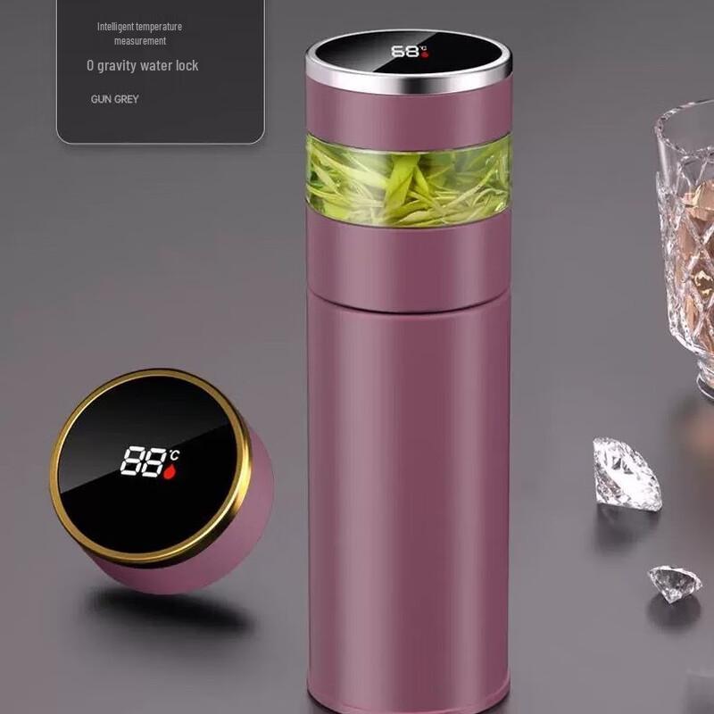Smart Temperature Display Tea Infuser Bottle