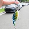Realistic Multi Jointed Fishing Lure Key Ring Sturdy Alloy Plastic Construction Outdoor Fishing Gear Accessory