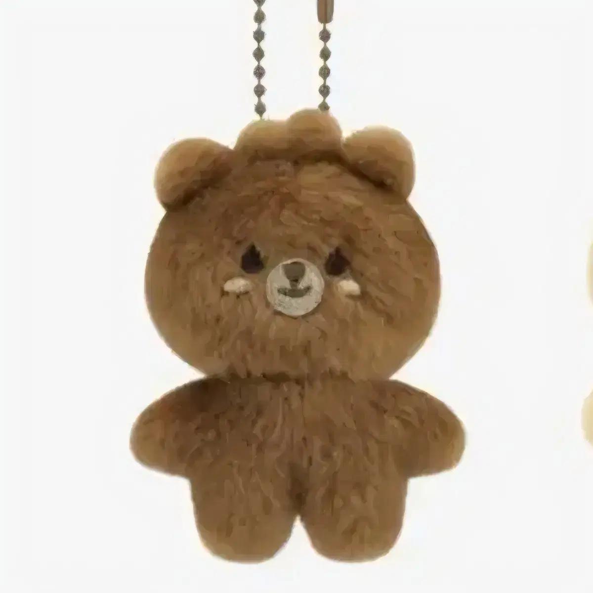 

DAY6 Красивая комната + Партия Покка Сунджина