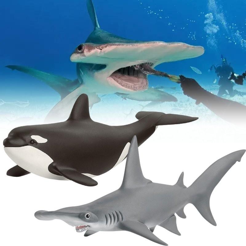 Realistic Sea Life Pvc Model Collection Including Whales Dolphins Sharks And Sea Lions