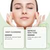 Green Tea Foaming Facial Cleanser Gently Cleanses Porescleanses Refreshingly Shrinks Pores Moisturizes LA312