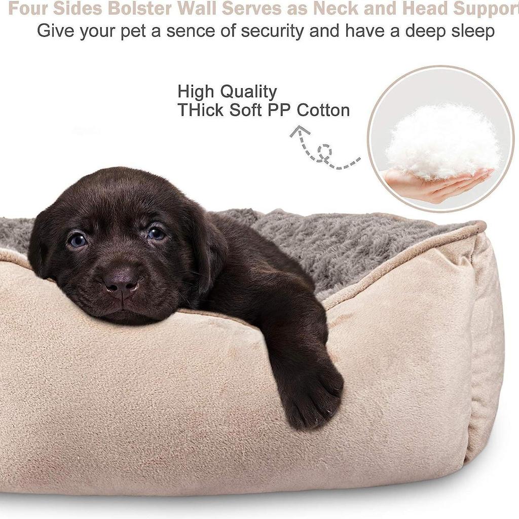 Popular Dog and Cat Bed for Small to Large Breeds: Teddy to Golden Retriever