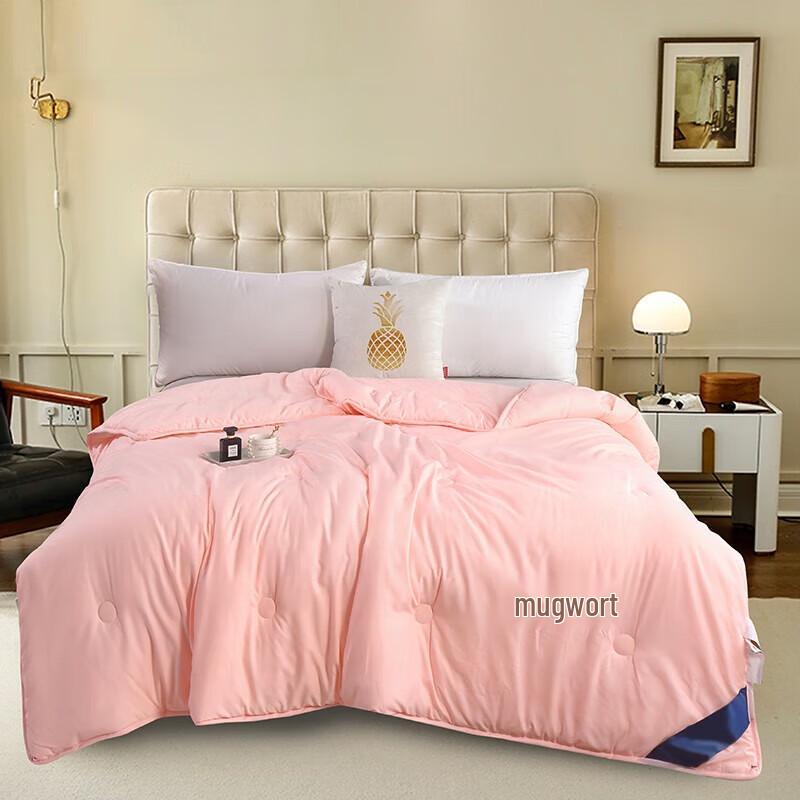 

BAIWEISI Constant Warm Winter Quilt