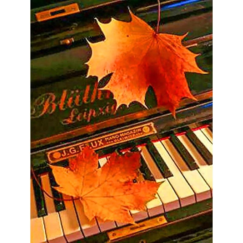 

Новый 5D DIY алмазная живопись Скрипка Алмазная вышивка музыка вышивка крестиком полная круглая дрель ремесла домашний декор ручной подарок Full Round 20x30CM