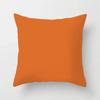 Nordic Orange Pattern Sofa and Bedside Pillow Cover Modern Simple Casual Waist Head Pillow Cushion Cover Pillows Decor Home 45cm