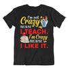 I Like To Teach Tshirt Crazy Educatoe Shirt Funny Humor Gift Tee