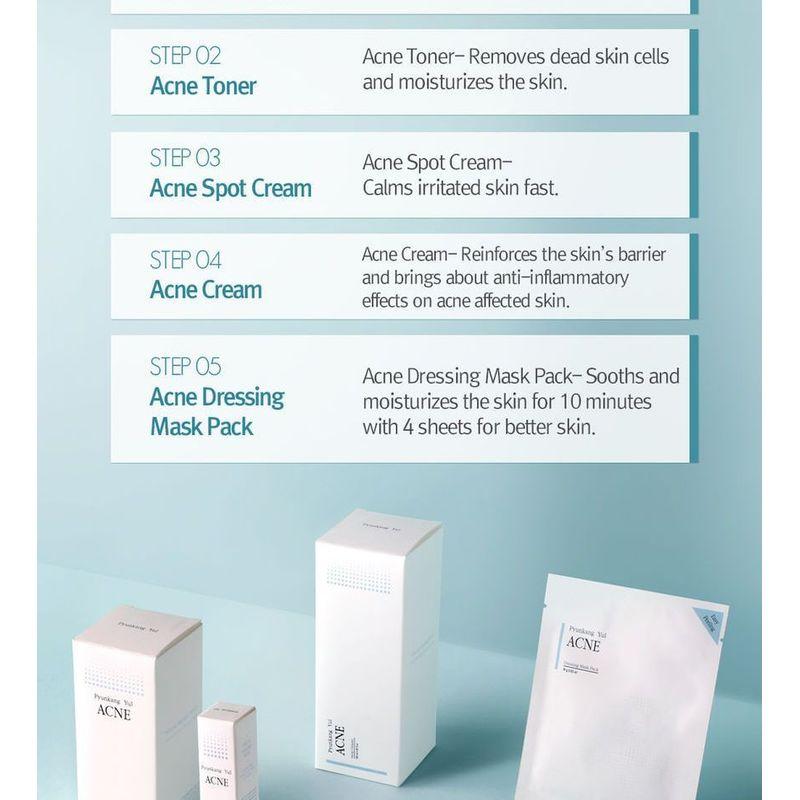 Pyunkang Yul Acne Dressing Mask Pack