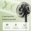 Diamond Smart DC Inverter Floor Fan CN Plug (adapter Included)