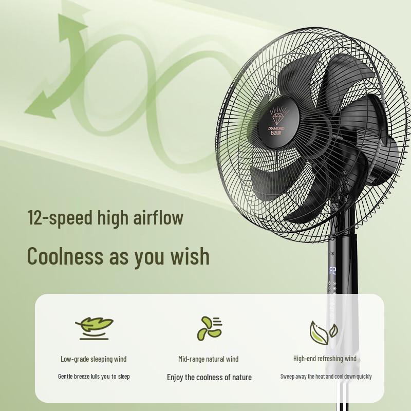 Diamond Smart DC Inverter Floor Fan CN Plug (adapter Included)