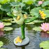 Jardinagem e paisagismo – Decoração de jardim