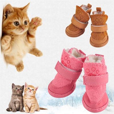 Bekleidung & Schuhe – Hundeschuhe